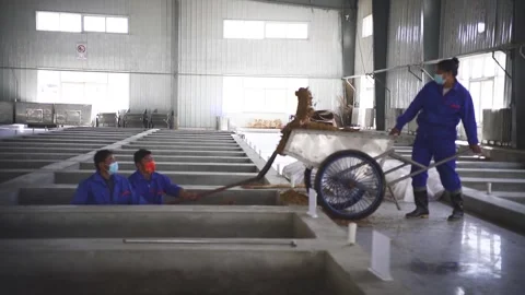 Winery worker working in fermentation tank Video stock 243036105