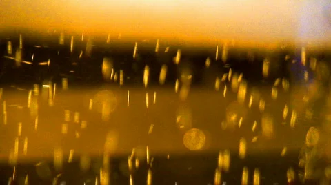 Wines and Spirits Stock-Footage 375079