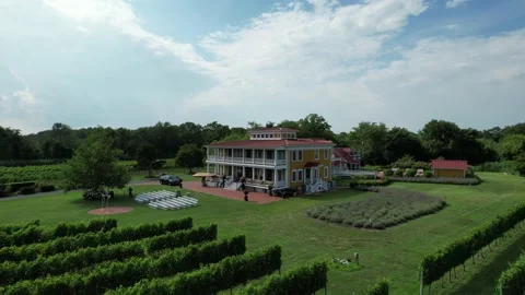 Wines in the States 库存影片 219577450