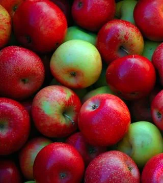 Winesap Apples Stock Photos