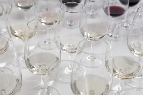 Winetasting glasses Stock Photos