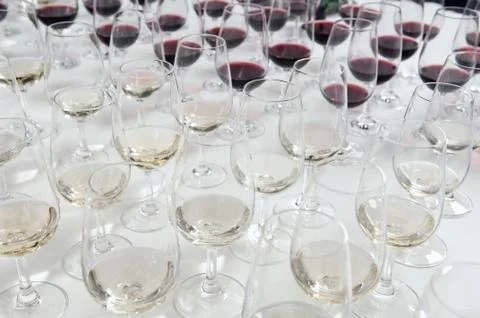 Winetasting glasses Stock Photos