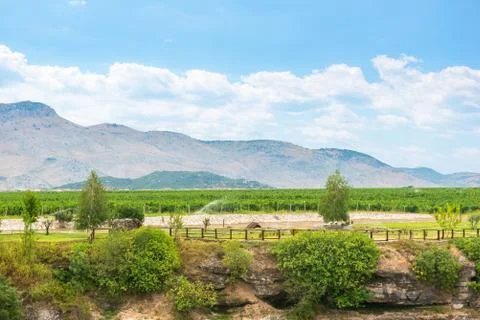 Wineyard in mountains Stock Photos