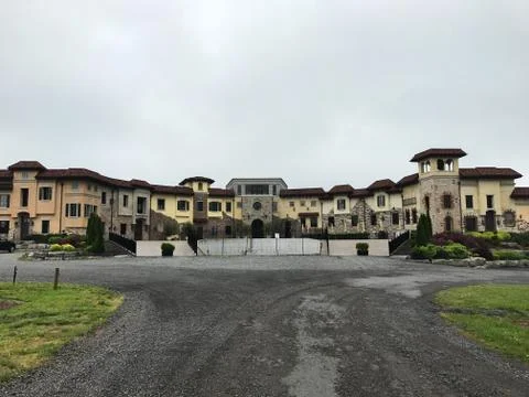 Wineyard Orchard Stock Photos