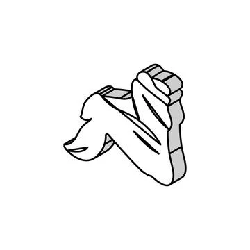 Wing 3 joint chicken isometric icon vector illustration Illustrazione stock
