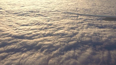 The wing of an airplane flying above the clouds, the view from the window Vídeos de archivo 125239602