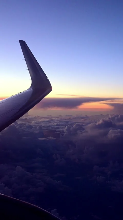 Wing Airplane 스톡 동영상 312196369