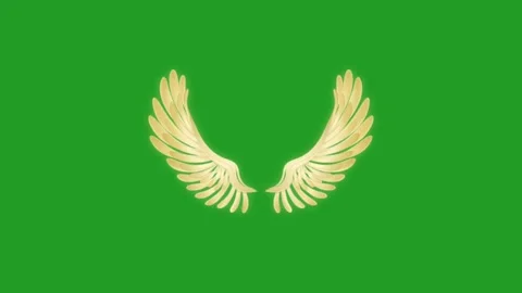 Wing animation with Green screen Stock Footage 229988435