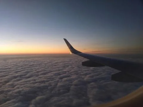 Wing at Dawn Stock Photos