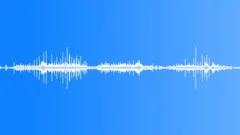 Wing flapping of turtle dovesSound Effect
