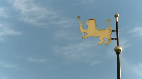 The wing in the form of a lion. Stock Footage 65259852