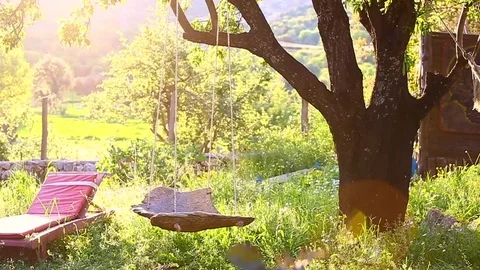 Wing hanging under the tree Stock Footage 93398699