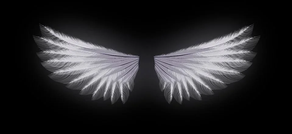 Wing Stock Illustration