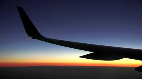 Wing in the morning sun Stock Footage 63500981