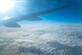 The wing in the sky on the background of the bright sun Photo