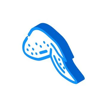 Wing with two phalanges isometric icon vector illustration Illustrazione stock