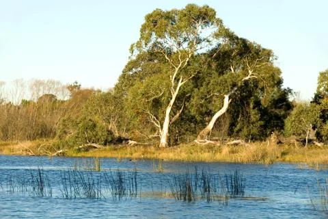 Wingecarribee river Stock Photos