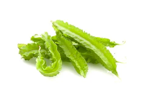 Winged bean isolated on white background Stock Photos