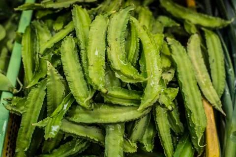 Winged Bean Stock Photos