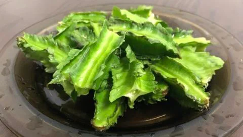 Winged Bean 写真素材