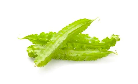 Winged bean on white background Stock Photos
