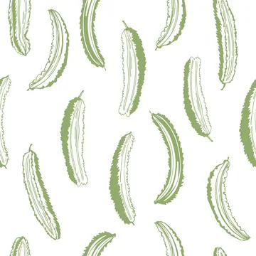 Winged beans. Vector  pattern 库存插图