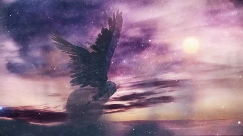 Winged ideas. Flying light bulb in cloudy sky Video stock 219349770