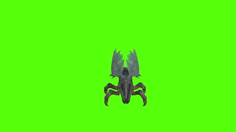 Winged Monster Idle Green Screen Animation 4k Rendering Vidéo 270390601