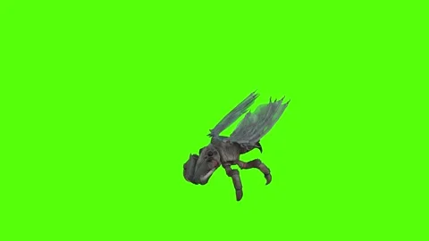 Winged Monster Idle Green Screen Animation 4k Rendering Vídeos de archivo 270390608