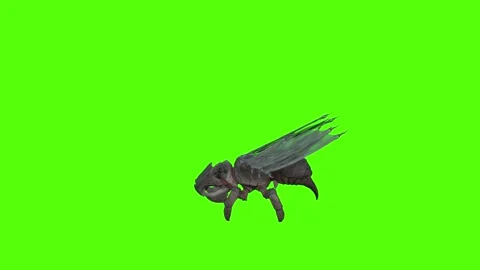 Winged Monster Jump Attack Green Screen Animation 4k Rendering Stock Footage 270390594