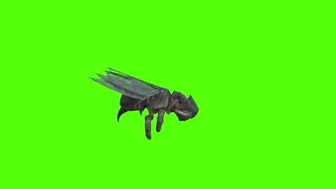 Winged Monster Walk Backwards Green Screen Animation 4k Rendering Видео 270390547
