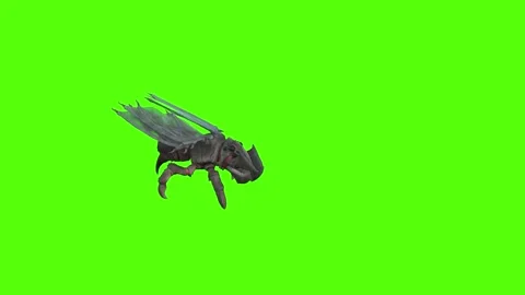 Winged Monster Walk Backwards Position Green Screen Animation 4k Rendering Stock Footage 270390539