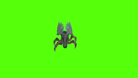 Winged Monster Walk Backwards Position Green Screen Animation 4k Rendering Vidéo 270390542