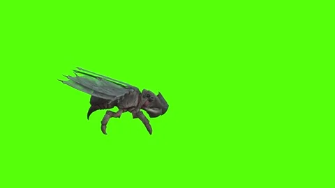 Winged Monster Walk Backwards Position Green Screen Animation 4k Rendering Stock-Footage 270390546