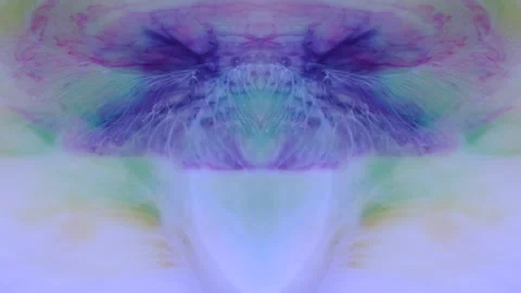 Winged Pastels Take Flight Stock Footage 256710656
