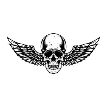 Winged skull . Design element for emblem, sign, badge, logo. Vector illustr.. Stock Illustration