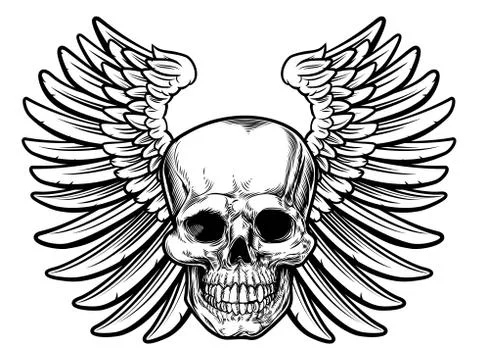 Winged Skull Drawing イラスト素材