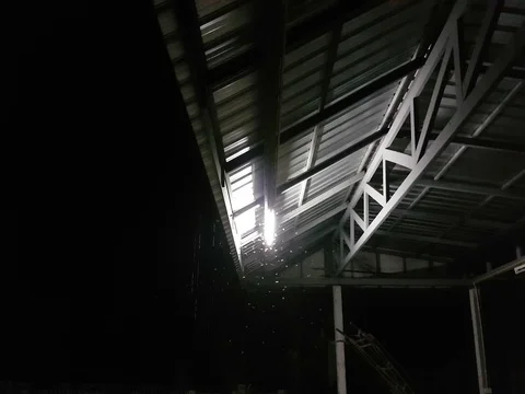 Winged Termites Flying around fluorescent light in the night, copyspace Stock Footage 75758805