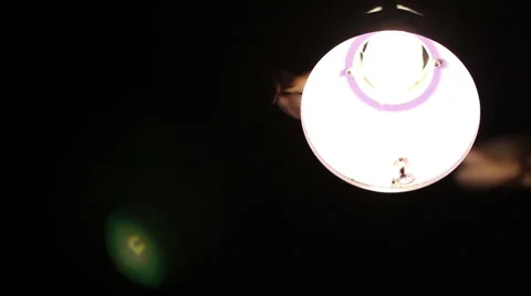 Winged Termites playing the light of desk lamp in the dark background Stock Footage 67311474