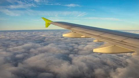 Wings of an airplane elegantly soar high above the clouds against a stunning Stock Photos