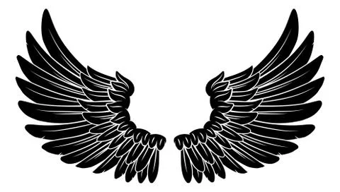 Wings Angel or Eagle Feathers Pair Illustration Ilustração Stock