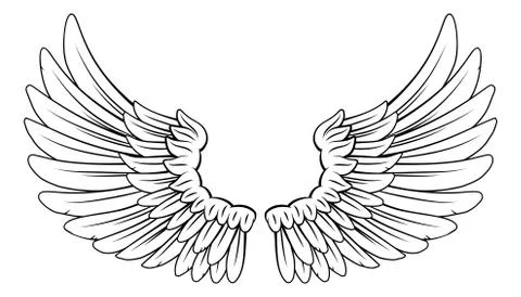 Wings Angel or Eagle Feathers Pair Illustration Stock Illustration