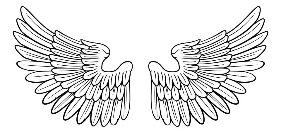 Wings Angel or Eagle Pair Stock Illustration