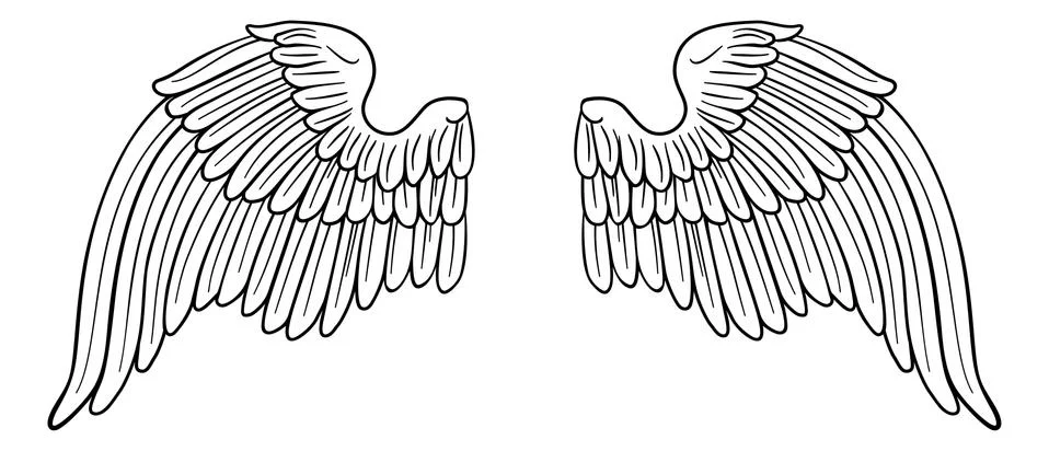 Wings Angel or Eagle Pair Stock Illustration