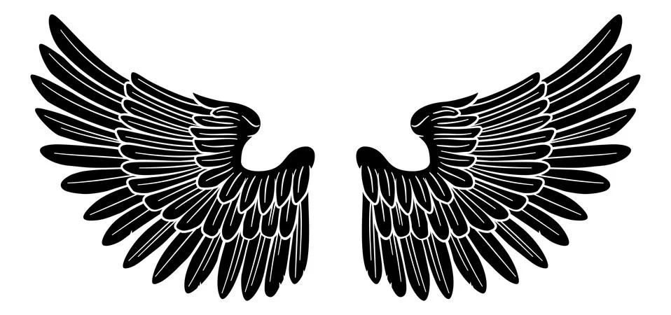 Wings Angel or Eagle Pair 스톡 일러스트