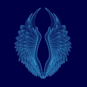 The wings of a bird are shown in blue, with a blue background. The wings are Illustrazione stock