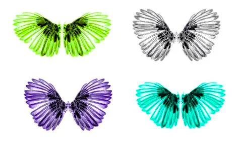 Wings of birds on white background Stockfoto's