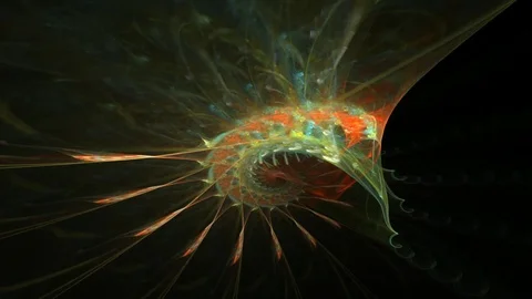The wings of the colibri. Stock Footage 124058582