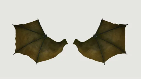 Wings of the dragon , loop, animation, transparent background Stock Footage 94597506