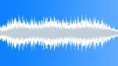 Wings In Flight.Sound Effect